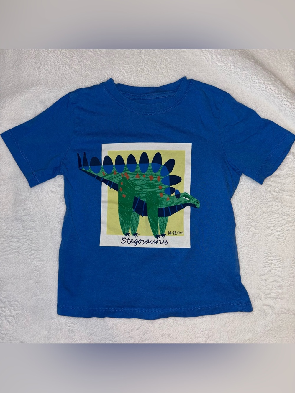 Blue Kids Stegosaurus Graphic Tee H&M